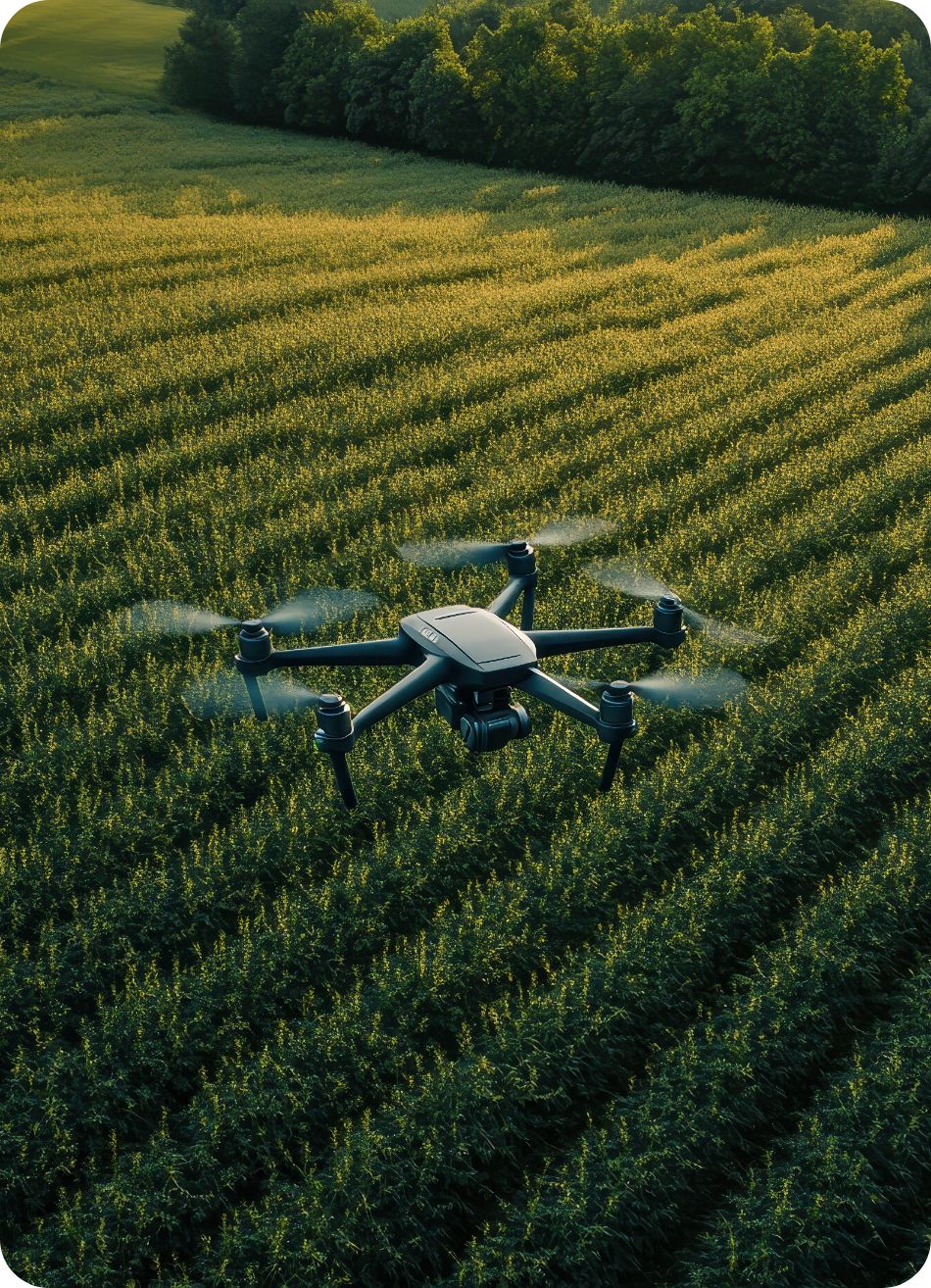 Dron nad polem